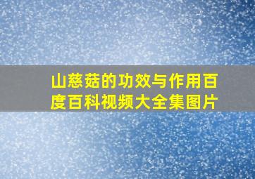 山慈菇的功效与作用百度百科视频大全集图片