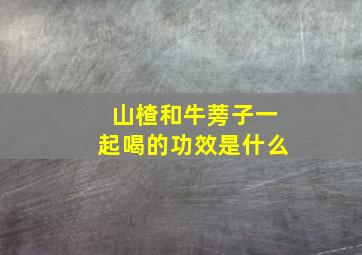 山楂和牛蒡子一起喝的功效是什么