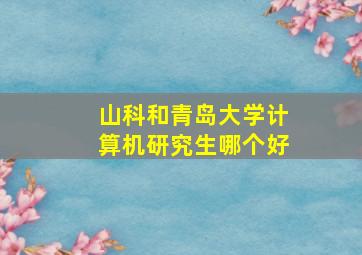 山科和青岛大学计算机研究生哪个好