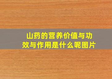 山药的营养价值与功效与作用是什么呢图片