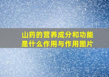 山药的营养成分和功能是什么作用与作用图片