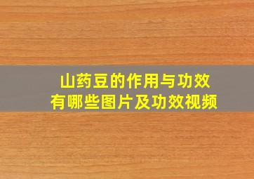 山药豆的作用与功效有哪些图片及功效视频