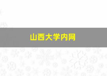 山西大学内网