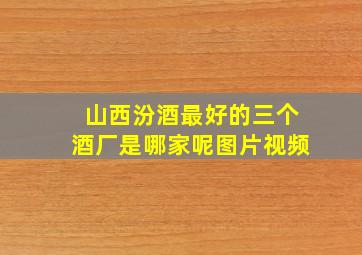 山西汾酒最好的三个酒厂是哪家呢图片视频