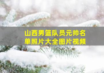 山西男篮队员元帅名单照片大全图片视频