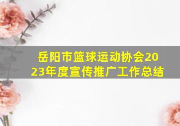 岳阳市篮球运动协会2023年度宣传推广工作总结