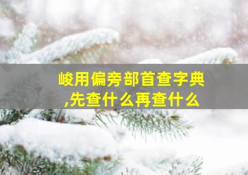 峻用偏旁部首查字典,先查什么再查什么