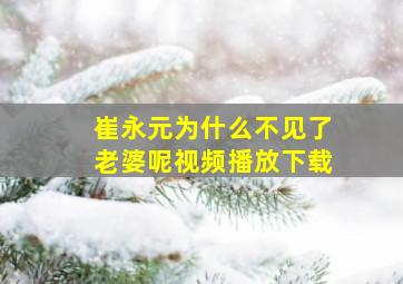 崔永元为什么不见了老婆呢视频播放下载