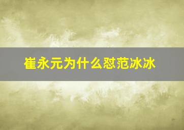 崔永元为什么怼范冰冰