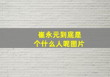 崔永元到底是个什么人呢图片