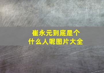 崔永元到底是个什么人呢图片大全