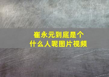 崔永元到底是个什么人呢图片视频