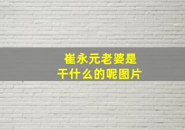 崔永元老婆是干什么的呢图片