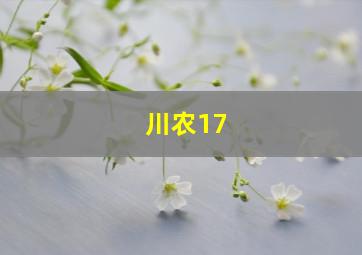 川农17