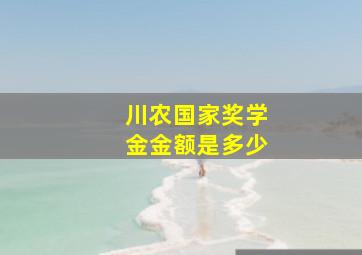 川农国家奖学金金额是多少