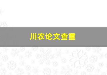 川农论文查重