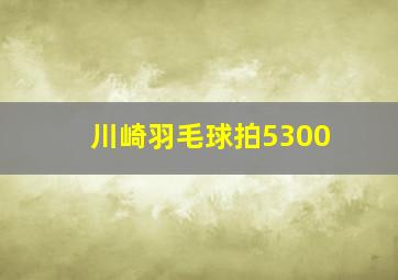 川崎羽毛球拍5300