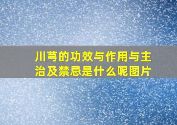 川芎的功效与作用与主治及禁忌是什么呢图片