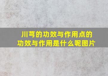 川芎的功效与作用点的功效与作用是什么呢图片