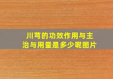 川芎的功效作用与主治与用量是多少呢图片