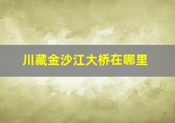 川藏金沙江大桥在哪里