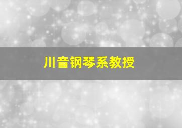 川音钢琴系教授