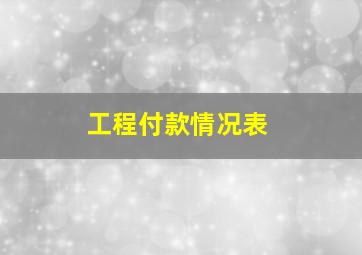 工程付款情况表