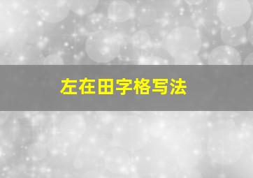 左在田字格写法