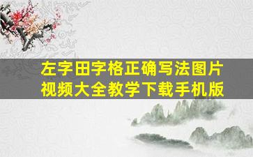 左字田字格正确写法图片视频大全教学下载手机版