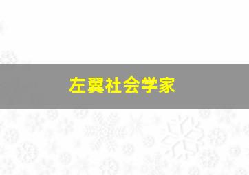 左翼社会学家