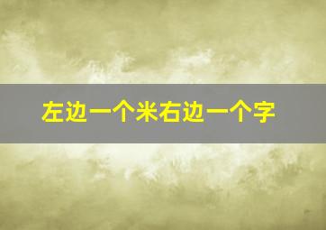 左边一个米右边一个字