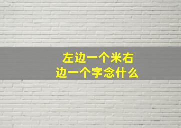 左边一个米右边一个字念什么