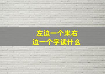 左边一个米右边一个字读什么