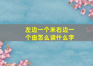 左边一个米右边一个由怎么读什么字