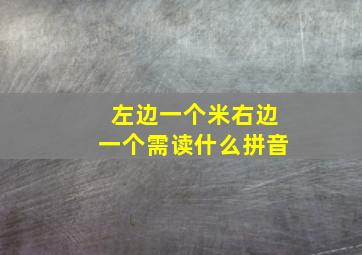 左边一个米右边一个需读什么拼音