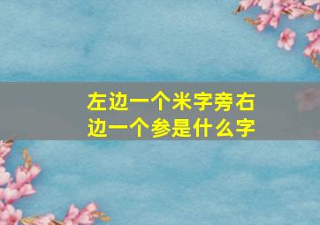 左边一个米字旁右边一个参是什么字