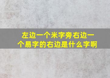 左边一个米字旁右边一个易字的右边是什么字啊