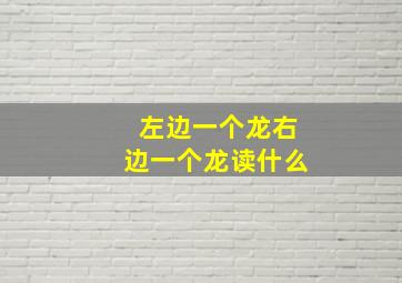 左边一个龙右边一个龙读什么