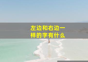 左边和右边一样的字有什么