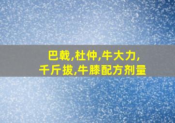 巴戟,杜仲,牛大力,千斤拔,牛膝配方剂量