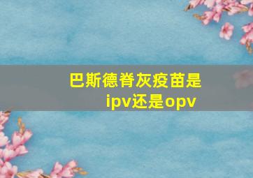 巴斯德脊灰疫苗是ipv还是opv