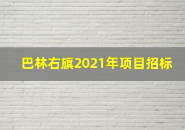 巴林右旗2021年项目招标