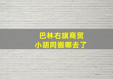 巴林右旗商贸小胡同搬哪去了