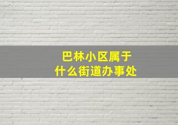 巴林小区属于什么街道办事处