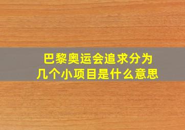 巴黎奥运会追求分为几个小项目是什么意思