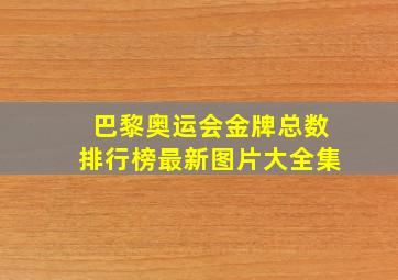 巴黎奥运会金牌总数排行榜最新图片大全集