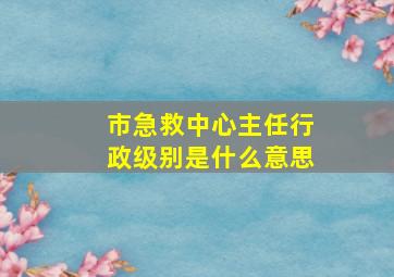 市急救中心主任行政级别是什么意思