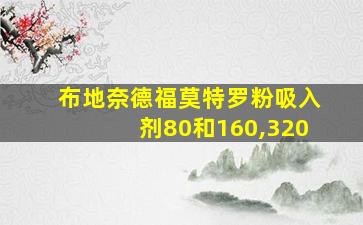 布地奈德福莫特罗粉吸入剂80和160,320