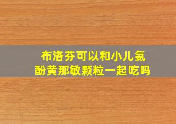 布洛芬可以和小儿氨酚黄那敏颗粒一起吃吗