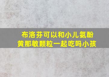 布洛芬可以和小儿氨酚黄那敏颗粒一起吃吗小孩